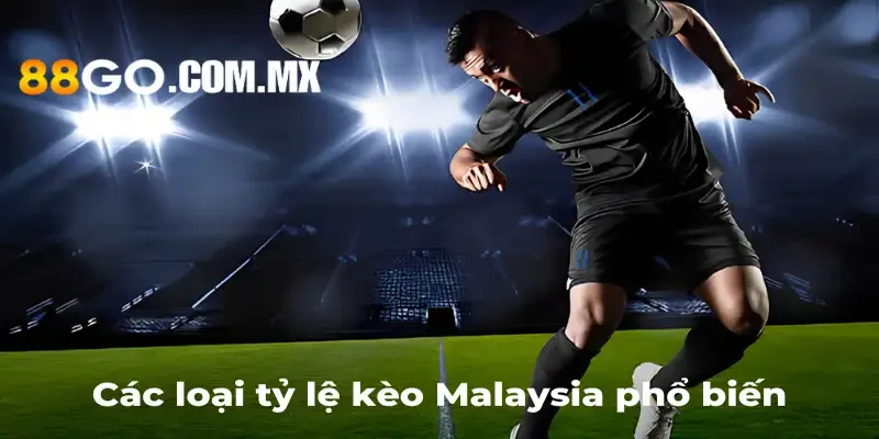 Tỷ Lệ Kèo Malaysia Là Gì? Tìm Hiểu Và Áp Dụng Kèo Malaysia Các loại tỷ lệ kèo Malaysia phổ biến