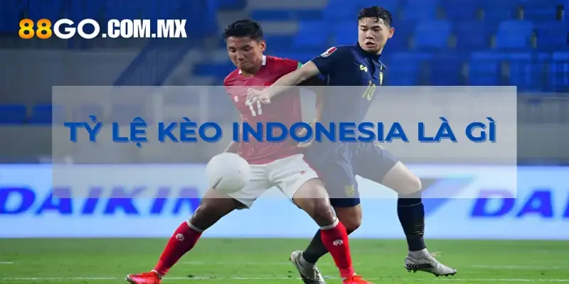 Tỷ Lệ Kèo Indonesia Là Gì - Cách Áp Dụng Tỷ Lệ Kèo Tại 88go Tỷ lệ kèo Indonesia là gì?